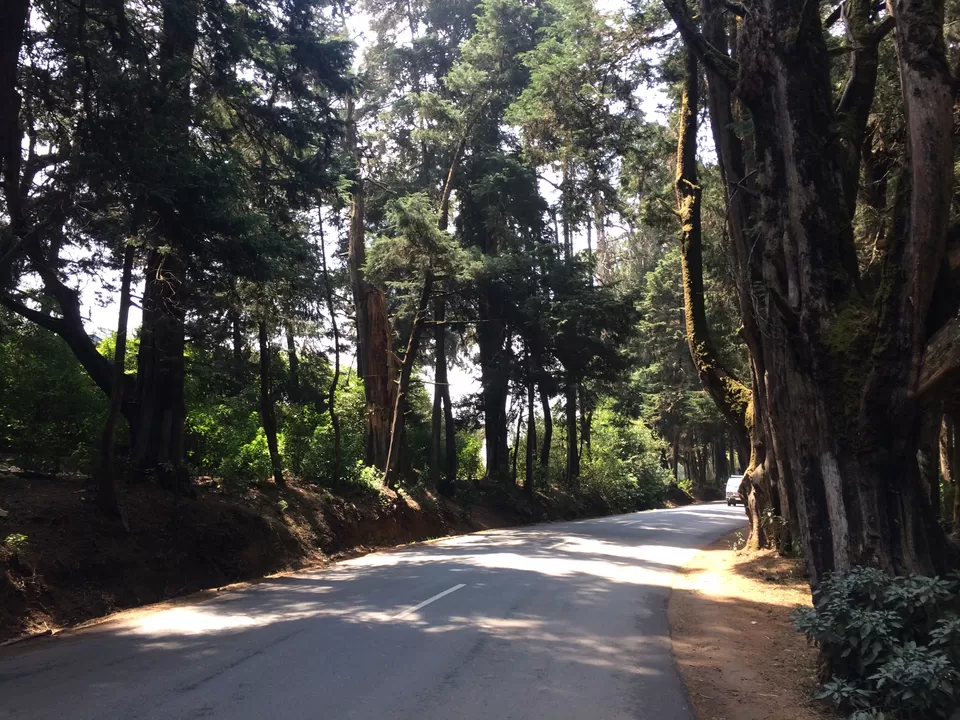 Photo of Ooty, Tamil Nadu, India by Raji Mohan