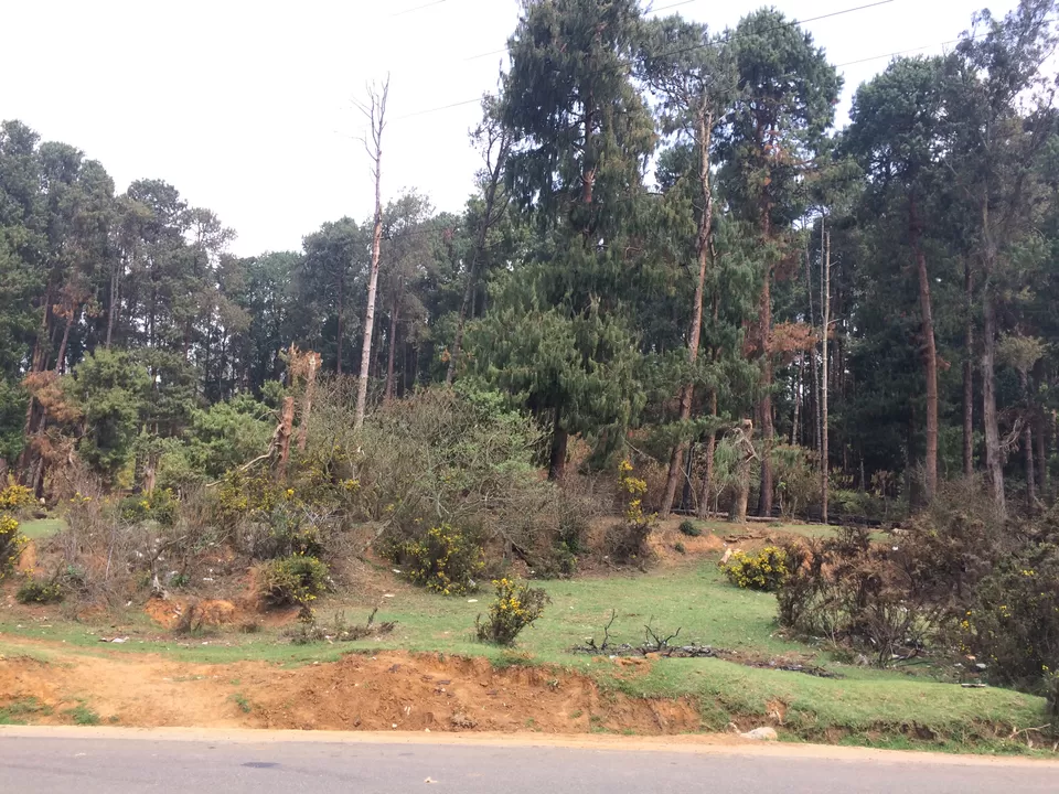 Photo of Ooty, Tamil Nadu, India by Raji Mohan
