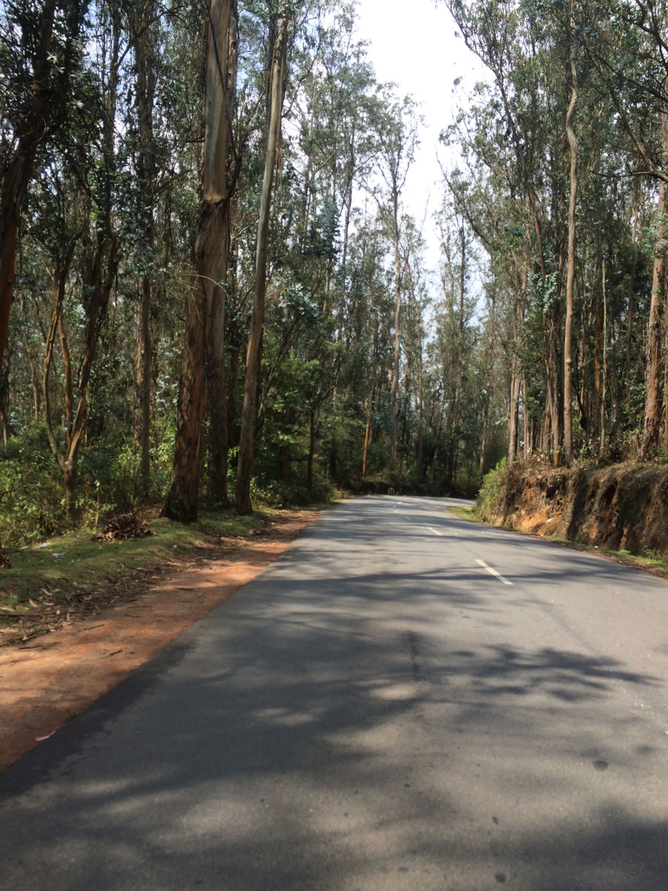 Photo of Ooty, Tamil Nadu, India by Raji Mohan