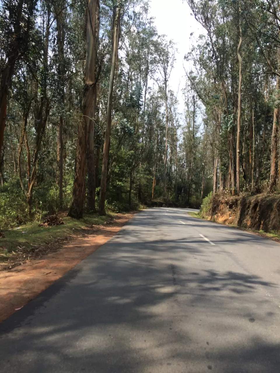 Photo of Ooty, Tamil Nadu, India by Raji Mohan