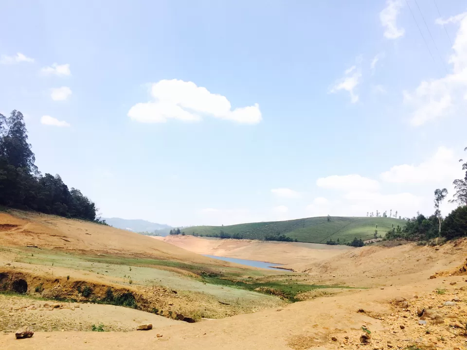 Photo of Ooty, Tamil Nadu, India by Raji Mohan