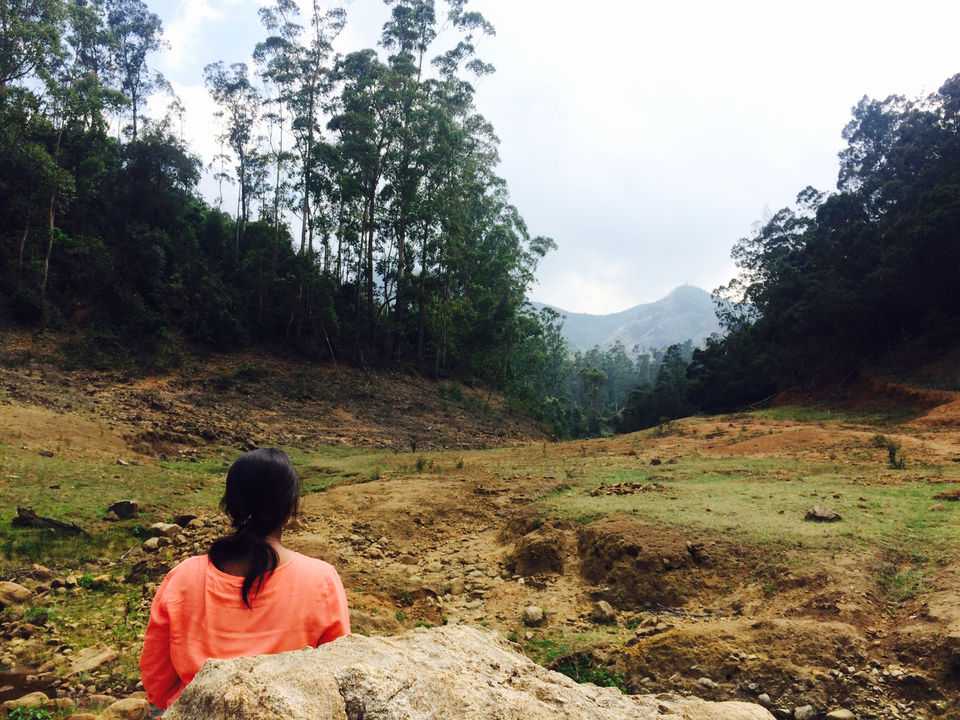 Photo of Ooty, Tamil Nadu, India by Raji Mohan