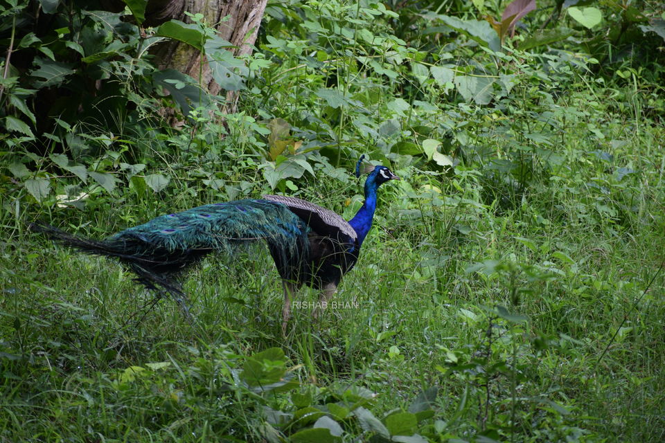 Photo of Wadakam - Memorable South India by the_unheard_storyteller (Rishab Bhan)