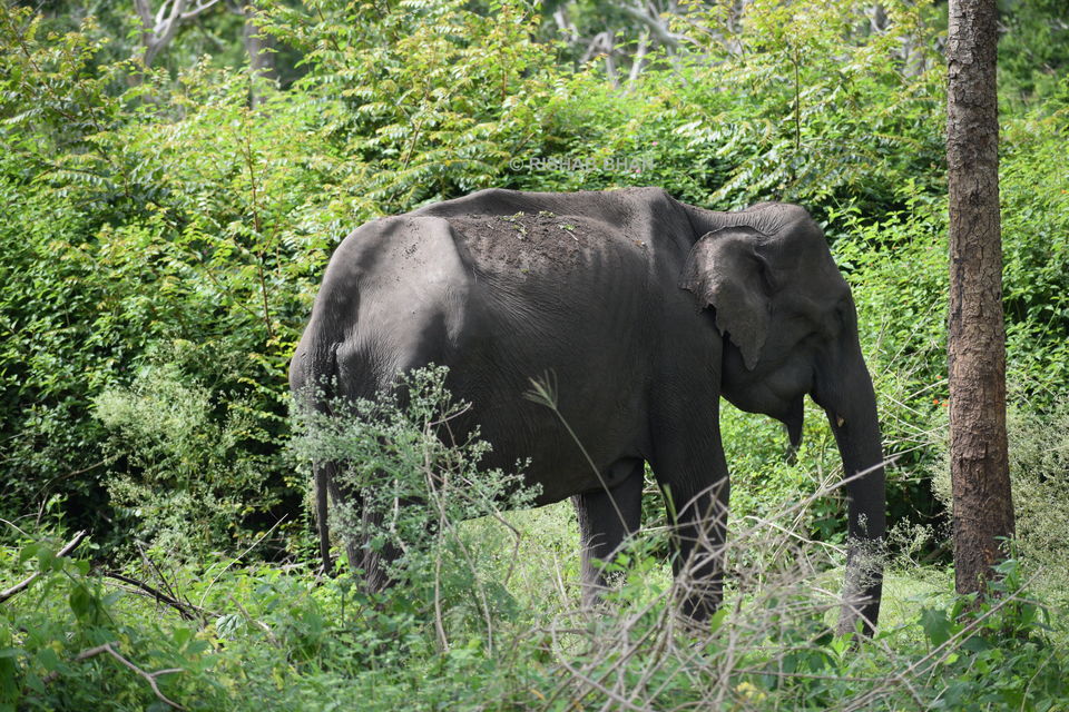 Photo of Wadakam - Memorable South India by the_unheard_storyteller (Rishab Bhan)