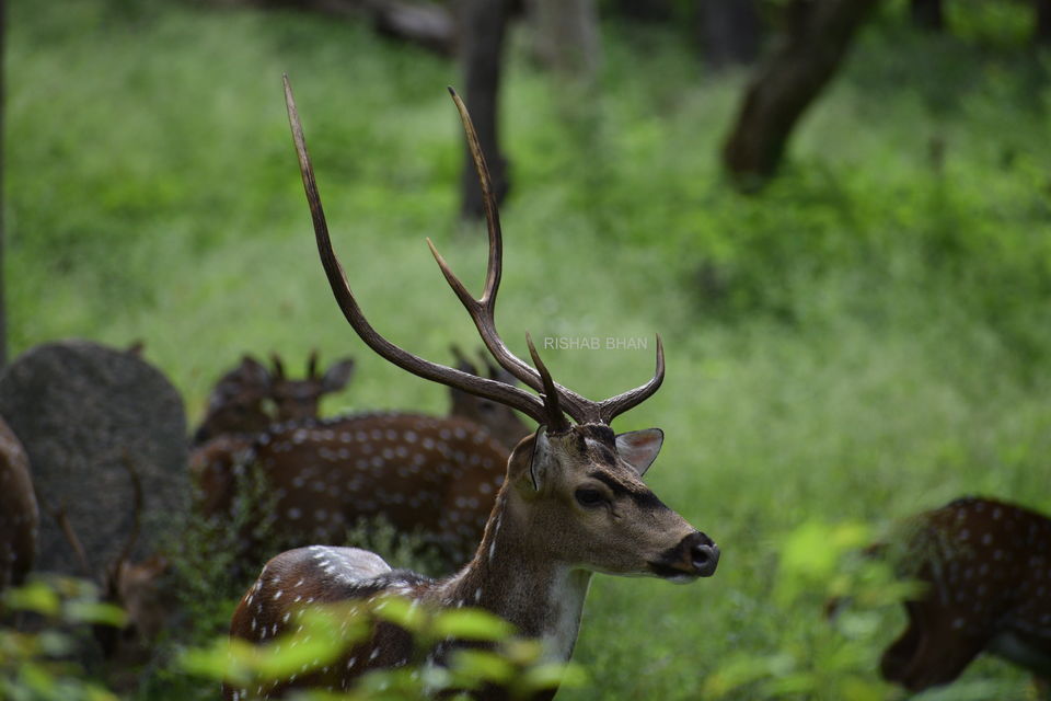 Photo of Wadakam - Memorable South India by the_unheard_storyteller (Rishab Bhan)