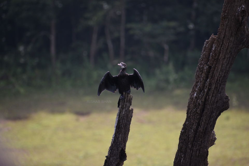 Photo of Wadakam - Memorable South India by the_unheard_storyteller (Rishab Bhan)