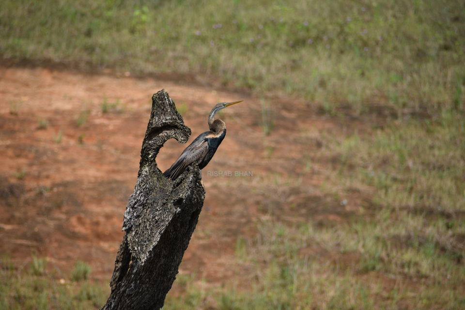Photo of Wadakam - Memorable South India by the_unheard_storyteller (Rishab Bhan)