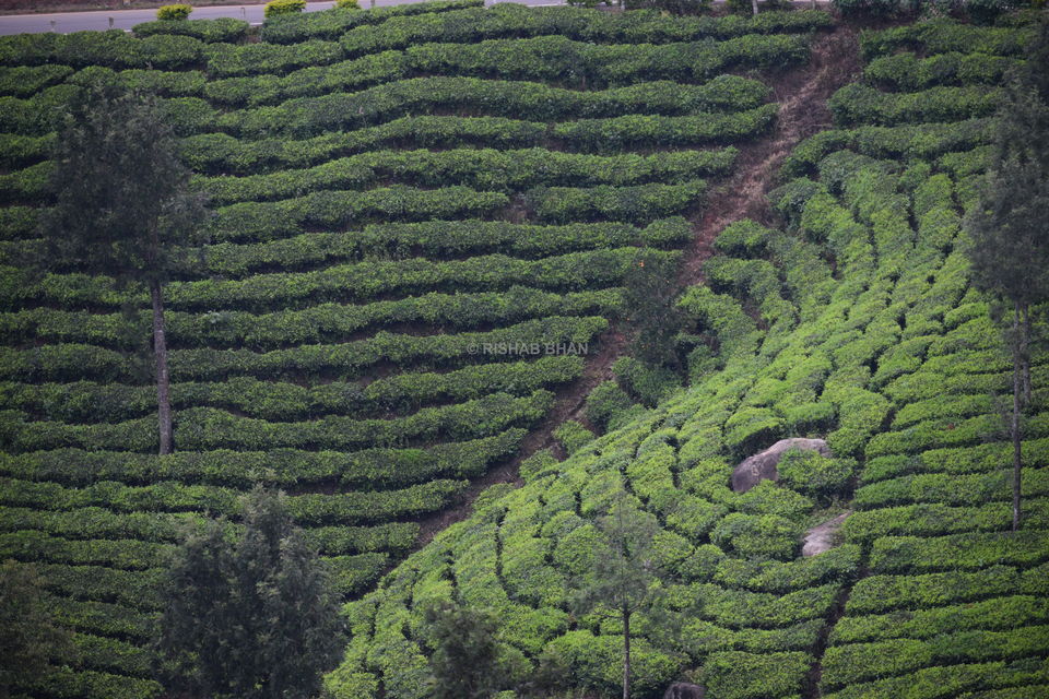 Photo of Wadakam - Memorable South India by the_unheard_storyteller (Rishab Bhan)