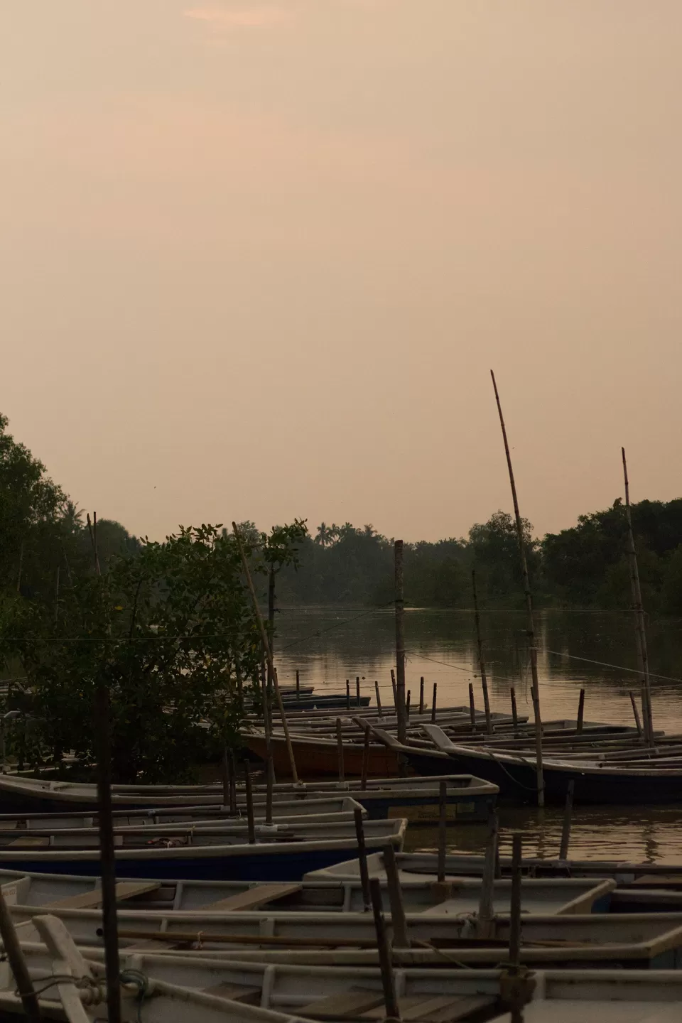 Photo of Kuala Selangor Selangor Malaysia by Debayan Dutta
