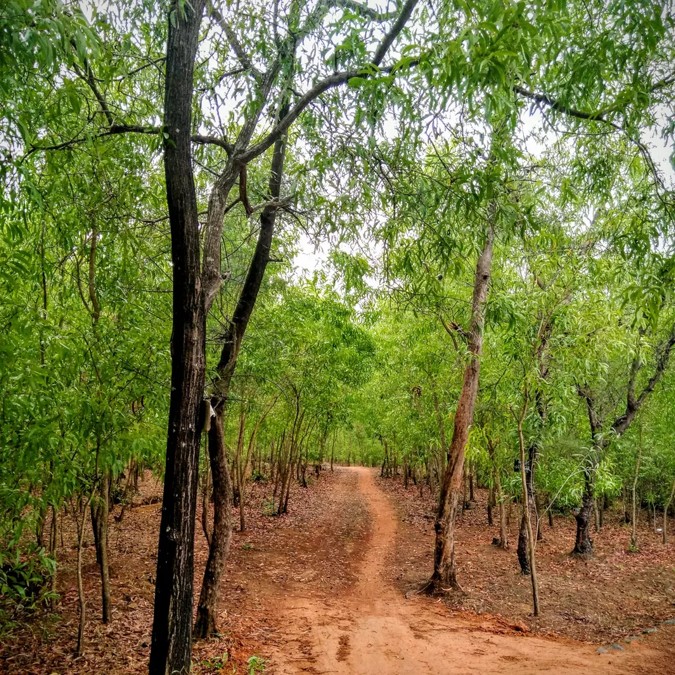 Photo of Paradise Beach Trail, Gokarna, Karnataka, India by Gaurav Gupta