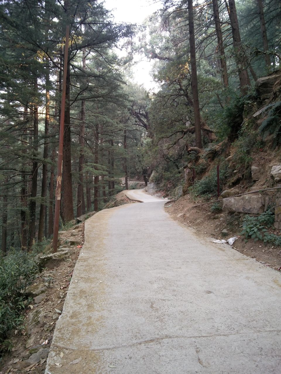 Photo of McLeod Ganj, Dharamshala, Himachal Pradesh, India by Balu