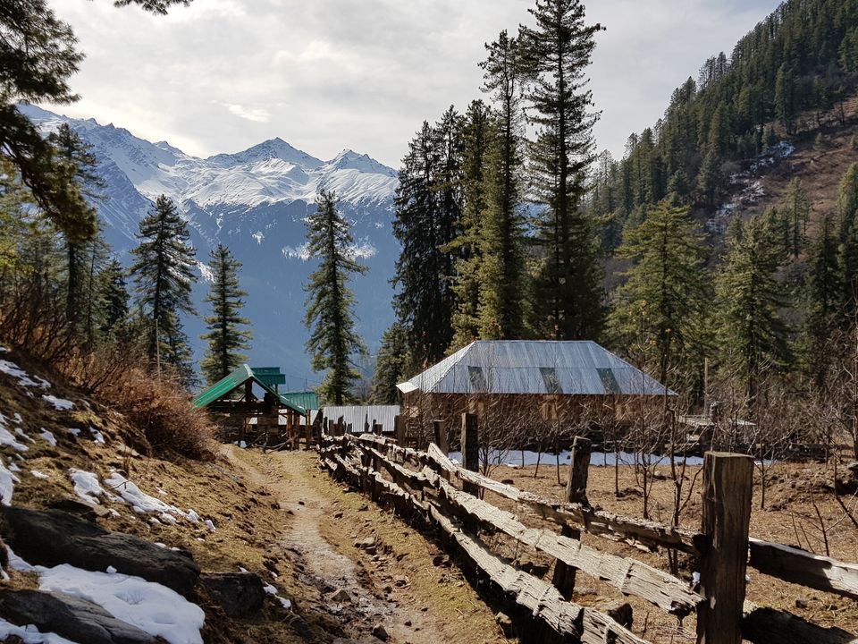 Photo of Kutla, Tosh, Himachal Pradesh, India by Balu