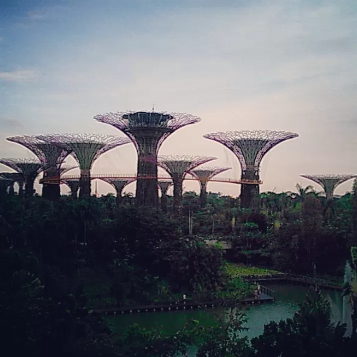 Photo of Singapore Botanic Gardens Cluny Road Singapore by Rahhul Khismatrao