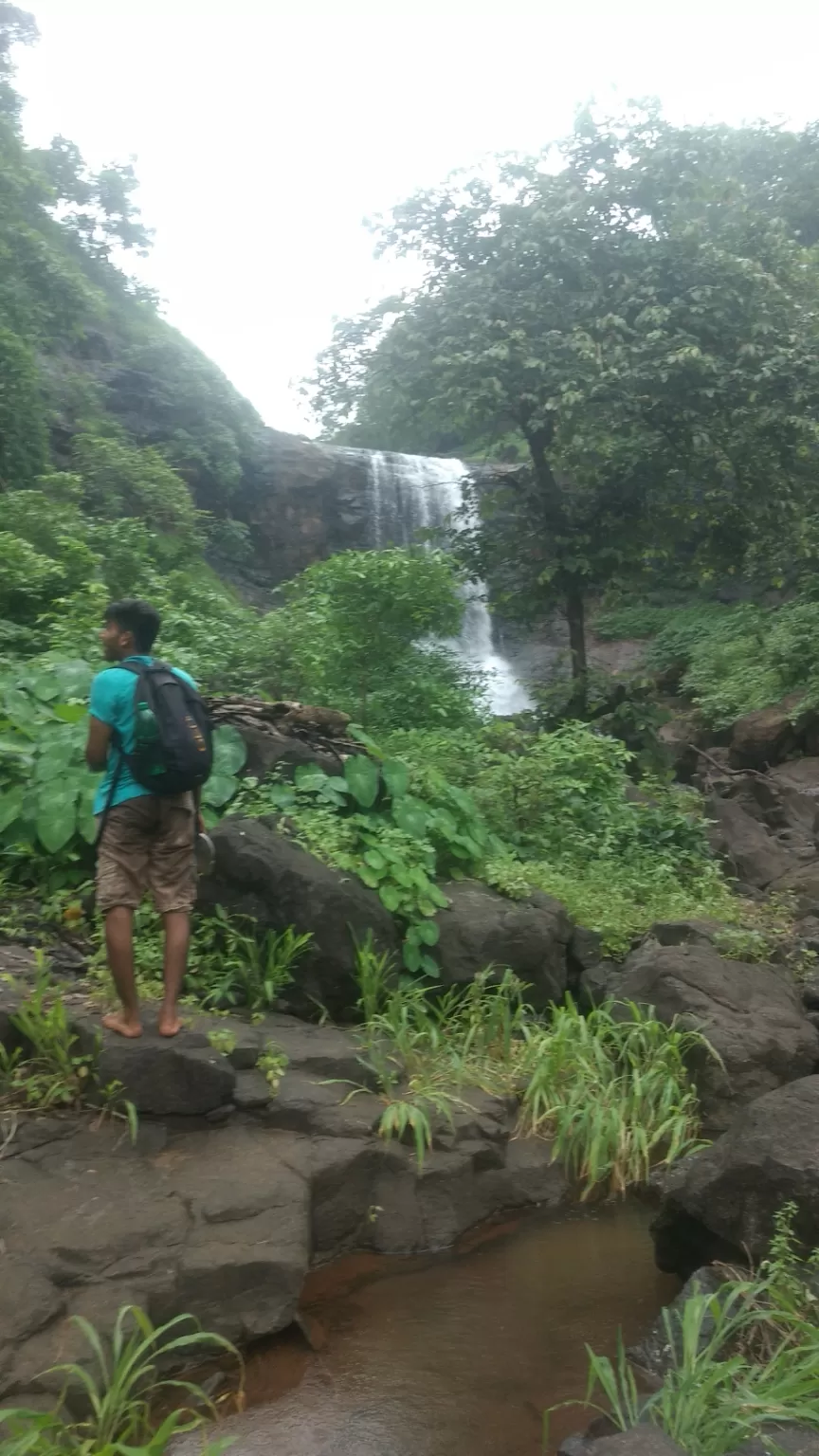 Photo of Mankadban, Gujarat, India by akash kapdi