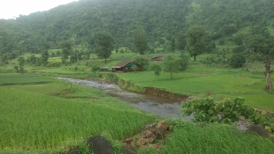 Photo of Mankadban, Gujarat, India by akash kapdi