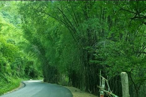 Photo of Yercaud, Tamil Nadu, India by pavan kumar