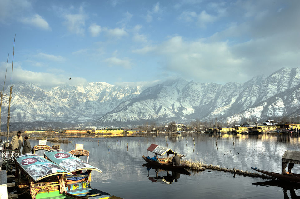 Photo of Srinagar by Sristi Sikka