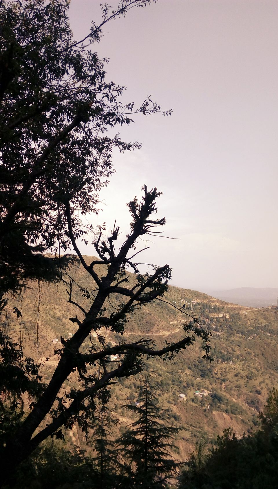 Photo of Being solo is fun!! by Tanu Sardana