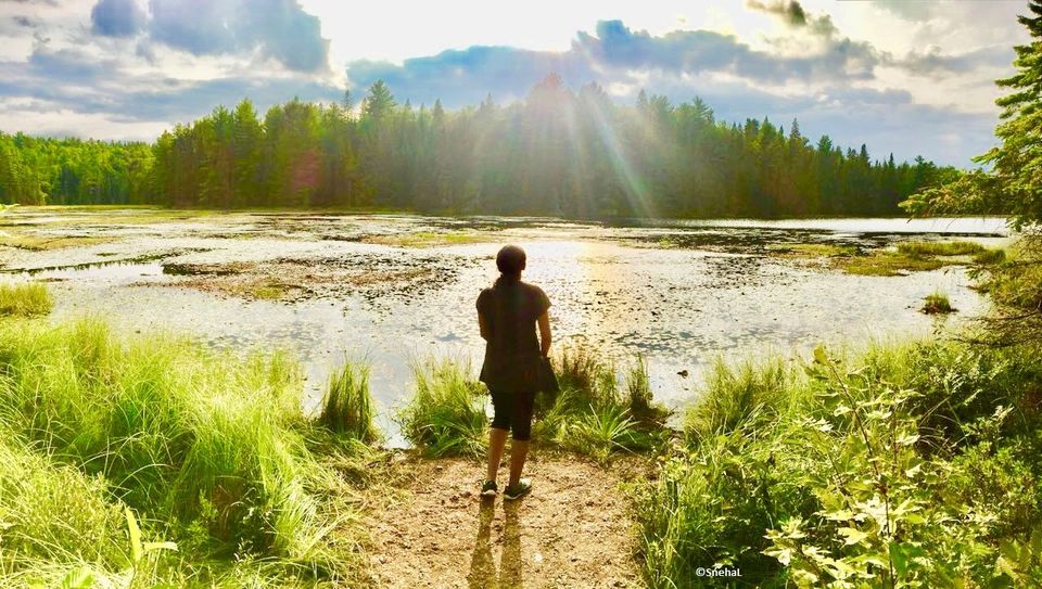 Photo of Explore this trail on your next visit to Algonquin Park, Ontario 7/10 by Snehal