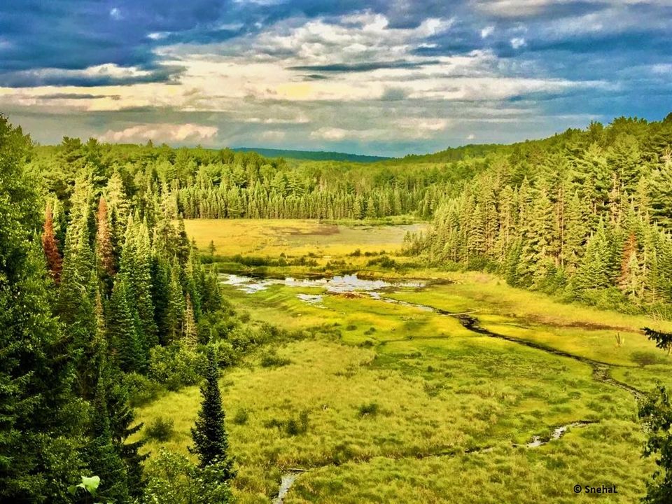 Photo of Explore this trail on your next visit to Algonquin Park, Ontario by Snehal