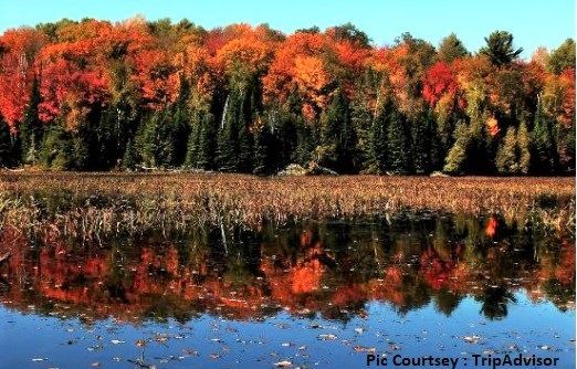 Photo of Explore this trail on your next visit to Algonquin Park, Ontario 9/10 by Snehal