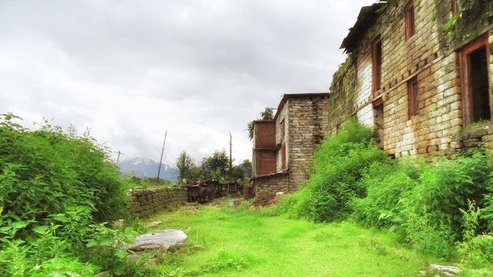 Photo of Munsyari, Uttarakhand, India by Vikas Sharma