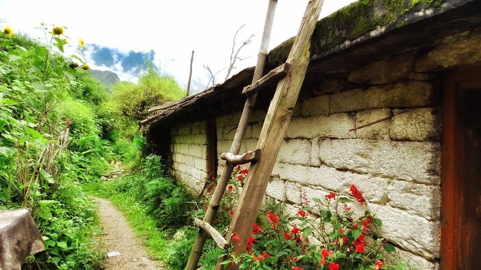 Photo of Munsyari, Uttarakhand, India by Vikas Sharma