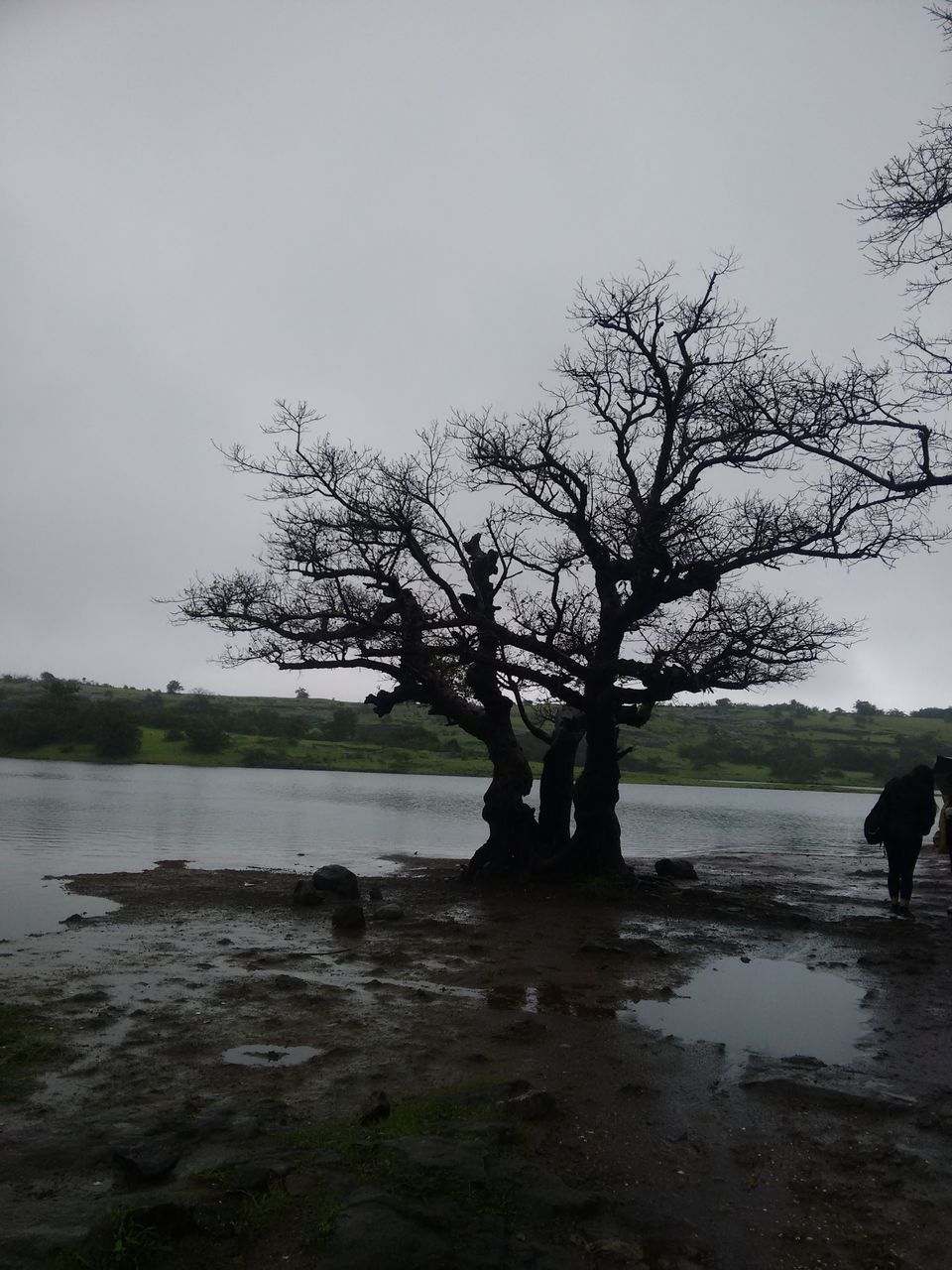 Photo of Rajmachi - a breathtaking Monsoon abode 3/15 by Angelin Dhivya