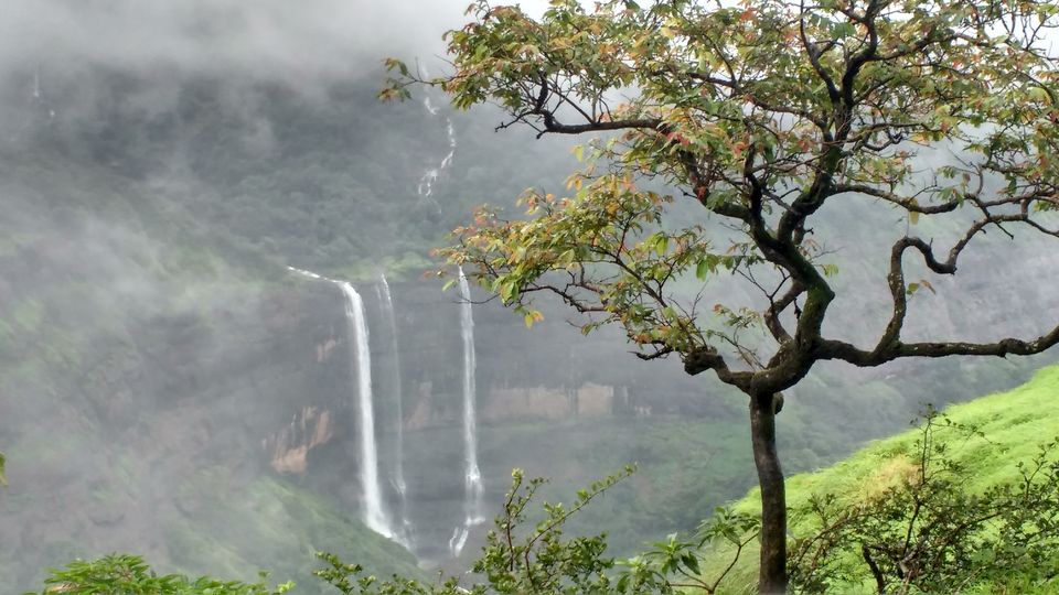 Photo of Rajmachi - a breathtaking Monsoon abode 6/15 by Angelin Dhivya