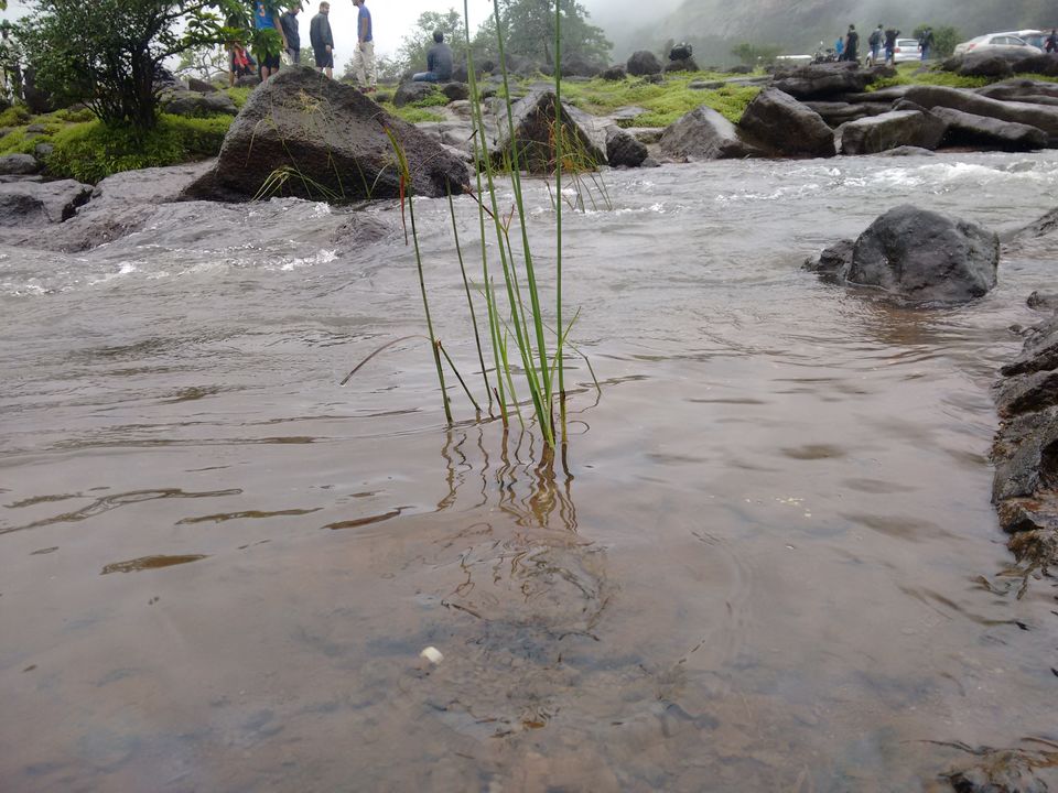 Photo of Rajmachi - a breathtaking Monsoon abode 4/15 by Angelin Dhivya