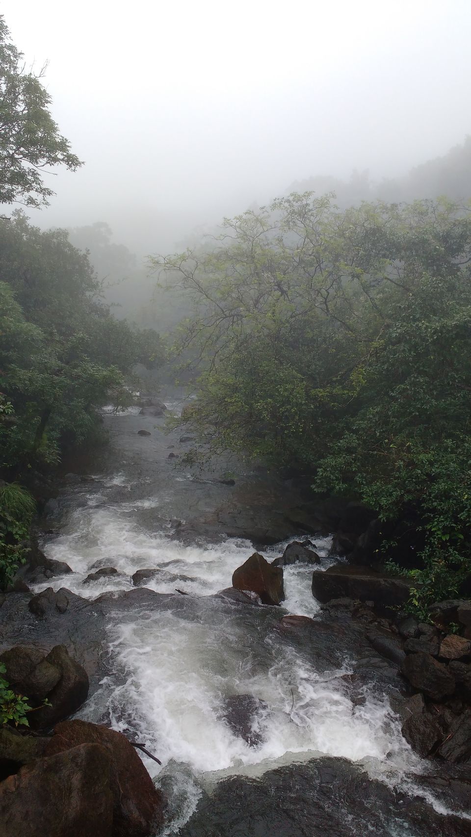 Photo of Rajmachi - a breathtaking Monsoon abode 8/15 by Angelin Dhivya