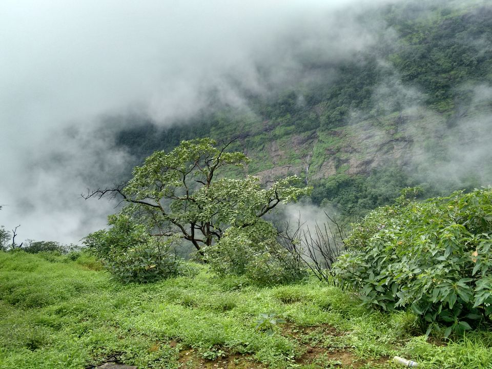 Photo of Rajmachi - a breathtaking Monsoon abode 10/15 by Angelin Dhivya
