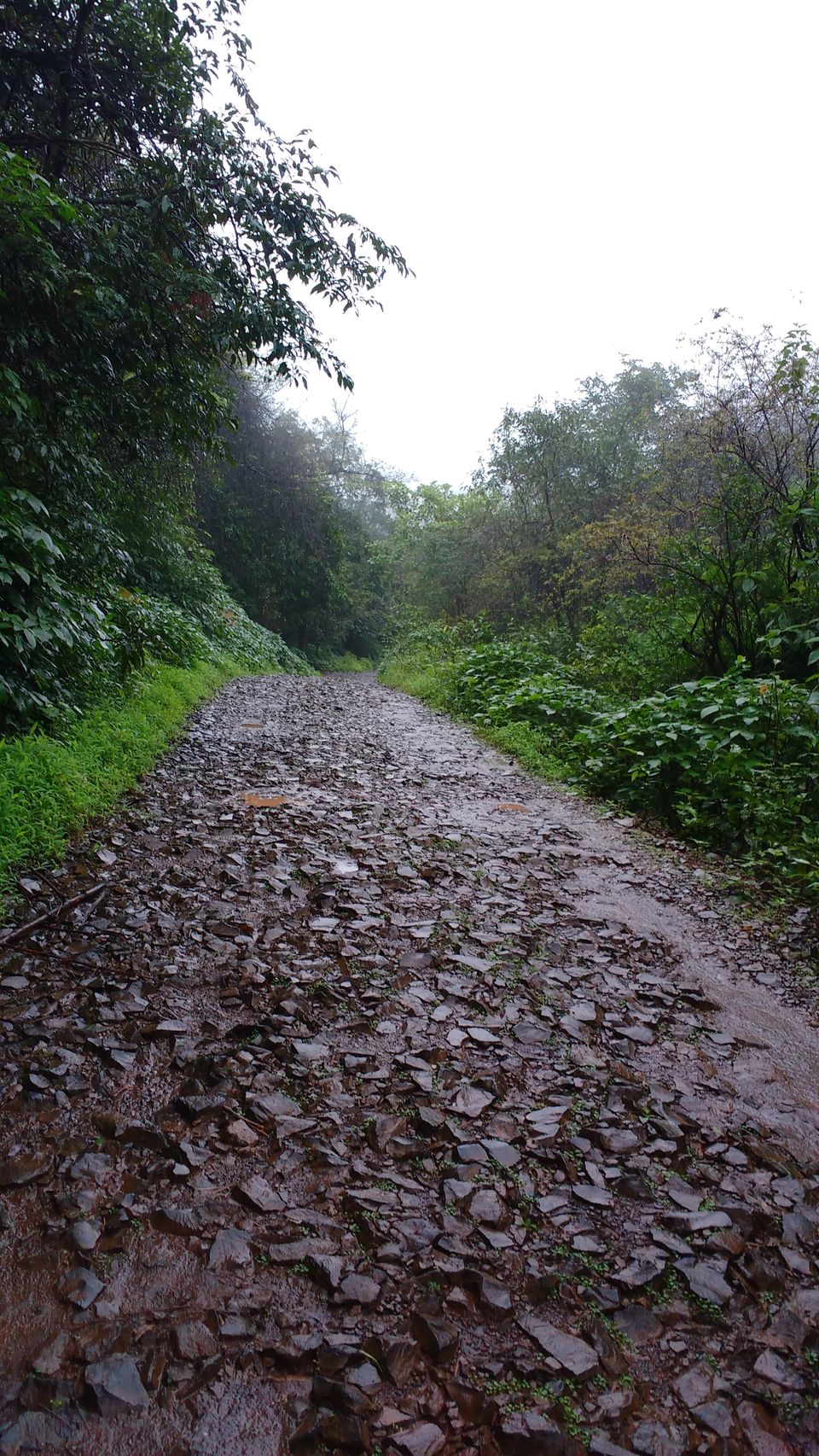 Photo of Rajmachi - a breathtaking Monsoon abode 15/15 by Angelin Dhivya