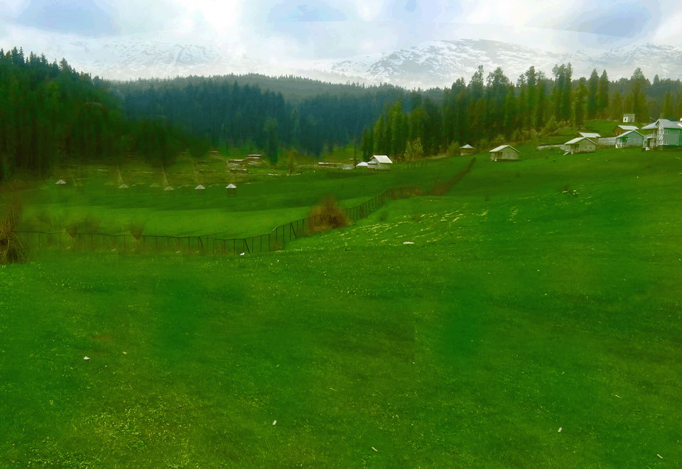 Photo of Kashmir - Truly A Paradise by Gauri Naik