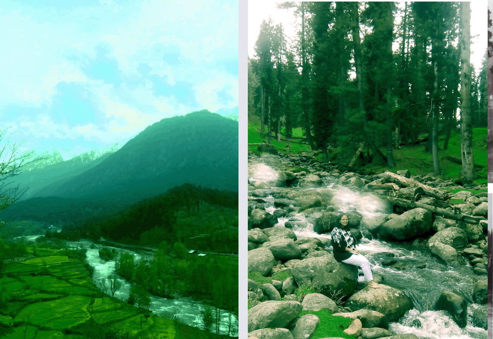 Photo of Kashmir - Truly A Paradise by Gauri Naik