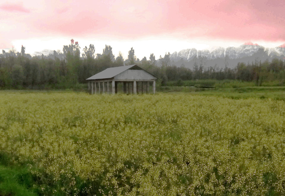 Photo of Kashmir - Truly A Paradise by Gauri Naik