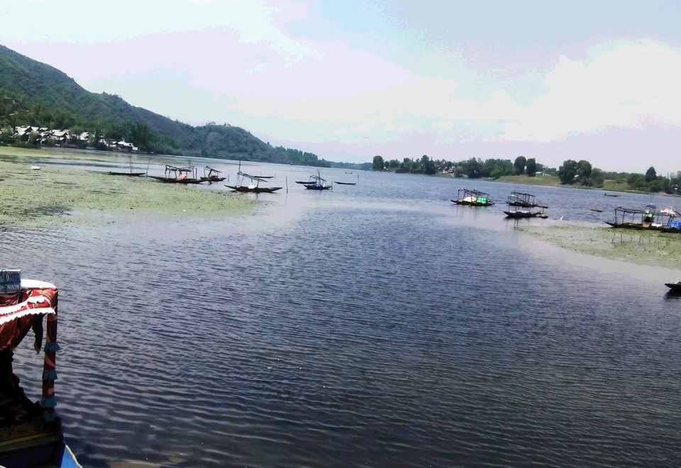 Photo of Kashmir - Truly A Paradise by Gauri Naik