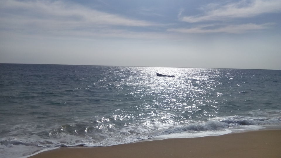 Photo of Poovar Island - An offbeat location in Kerala 4/4 by Gauri Naik