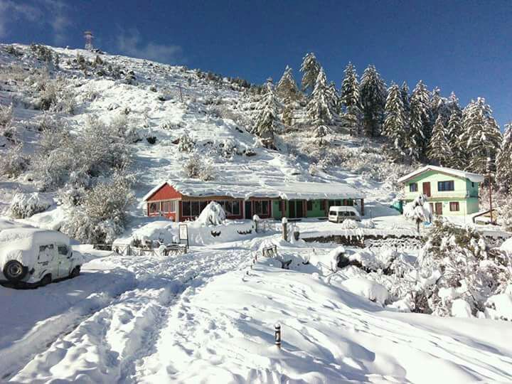 Photo of Auli Tour Package From Haridwar 1/1 by Chardham Yatra