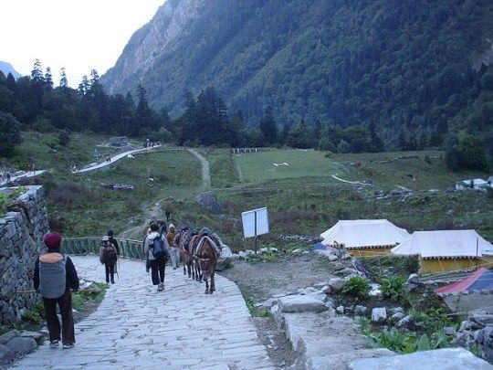 Photo of About Camping in The Valley of Flowers 1/1 by Raunak Chauhan