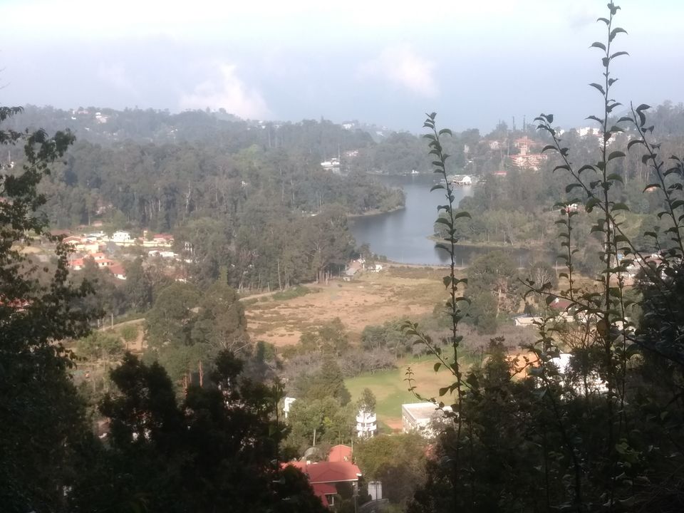 Photo of Kodaikanal:A Weekend Getaway in the Western Ghats by Meenakshi Rajasekaran