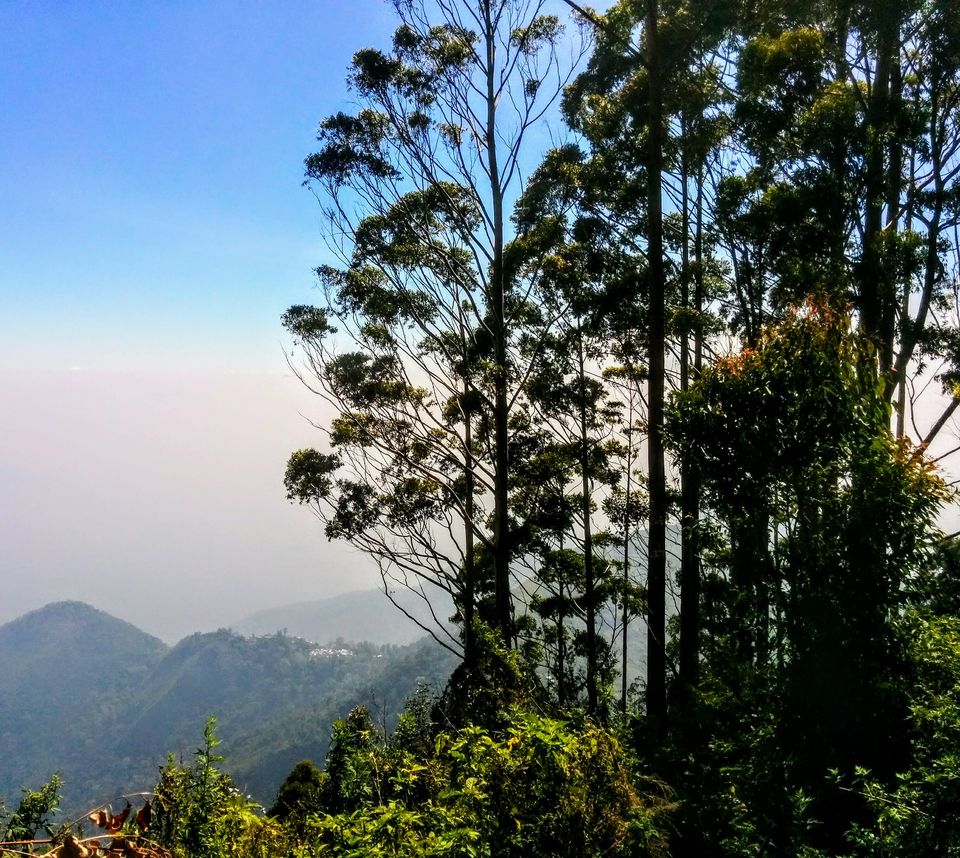 Photo of Kodaikanal:A Weekend Getaway in the Western Ghats by Meenakshi Rajasekaran