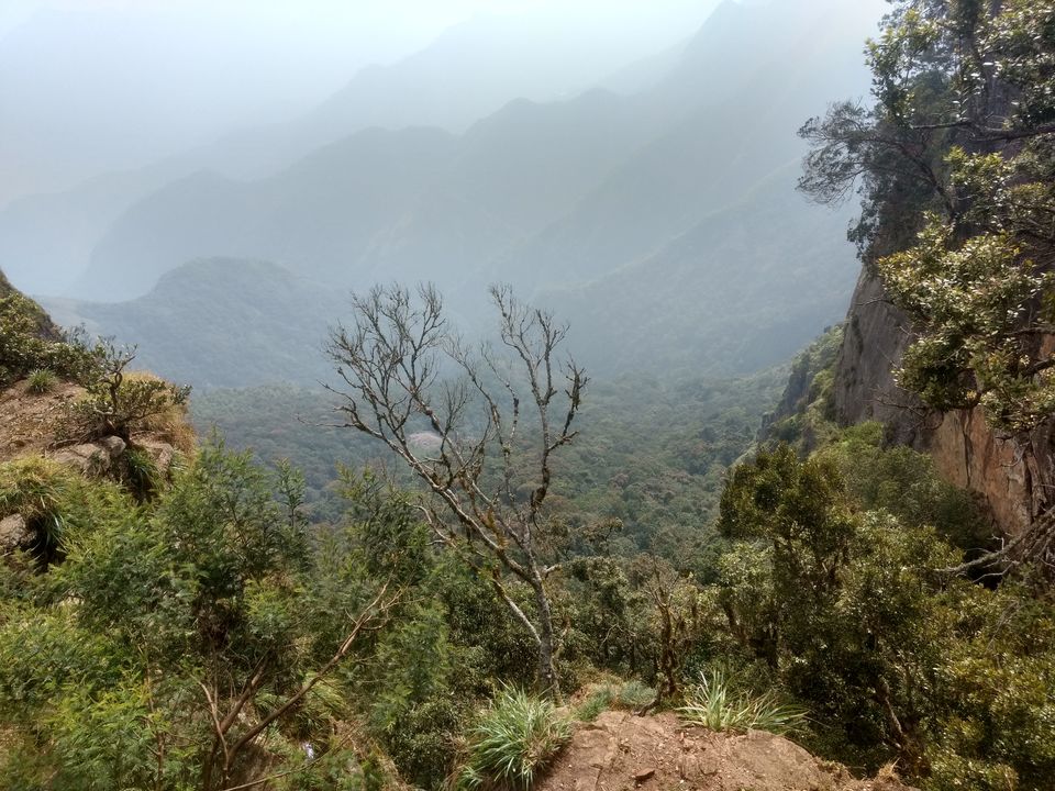 Photo of Kodaikanal:A Weekend Getaway in the Western Ghats by Meenakshi Rajasekaran