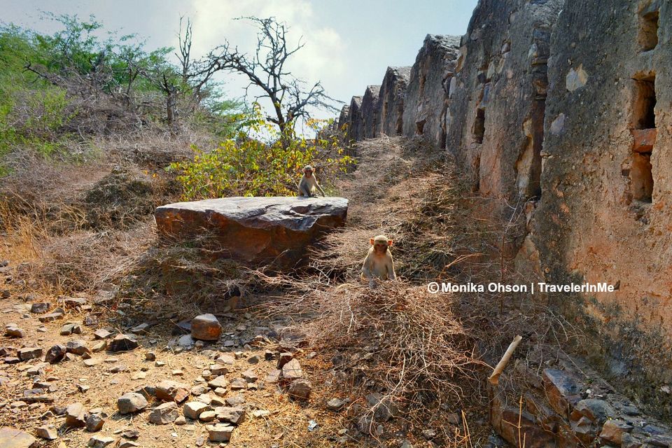 Photo of Crumbling heritage : Bundi's Taragarh Fort by TravelerInMe