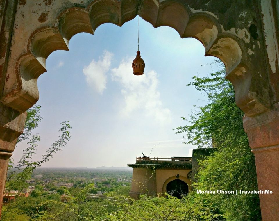 Photo of TGIF! Here's A Shot! 1/1 by TravelerInMe