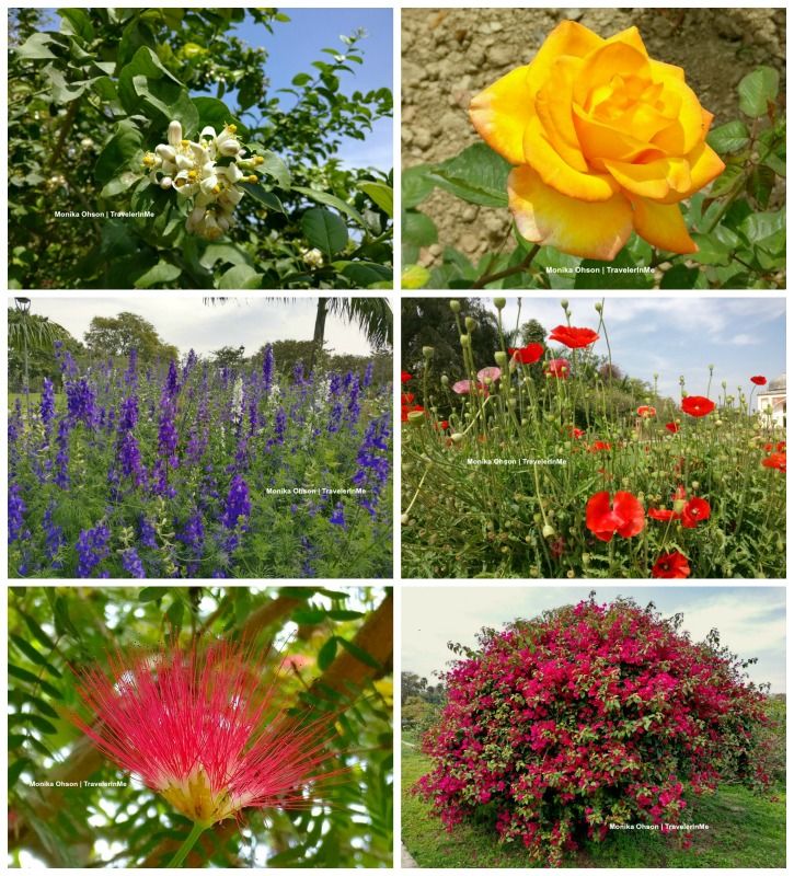 Photo of Sunder Nursery, a walk amidst nature & history 10/10 by TravelerInMe