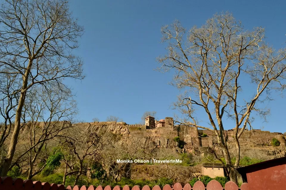 Photo of Ranthambore National Park, Rajasthan, India by TravelerInMe