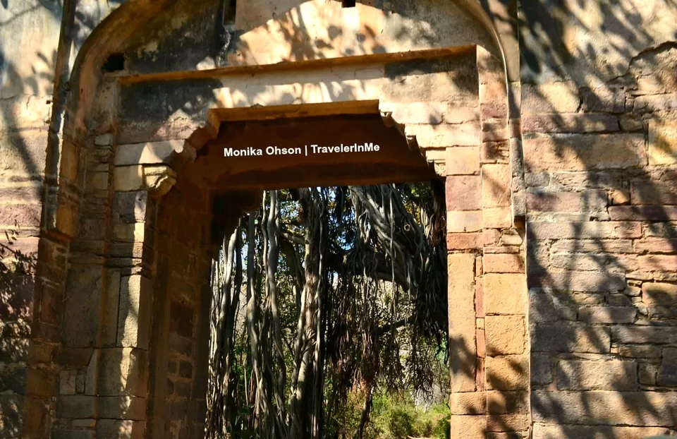 Photo of Looking for the ‘Bengal Tigers’ in Ranthambore National Park by TravelerInMe