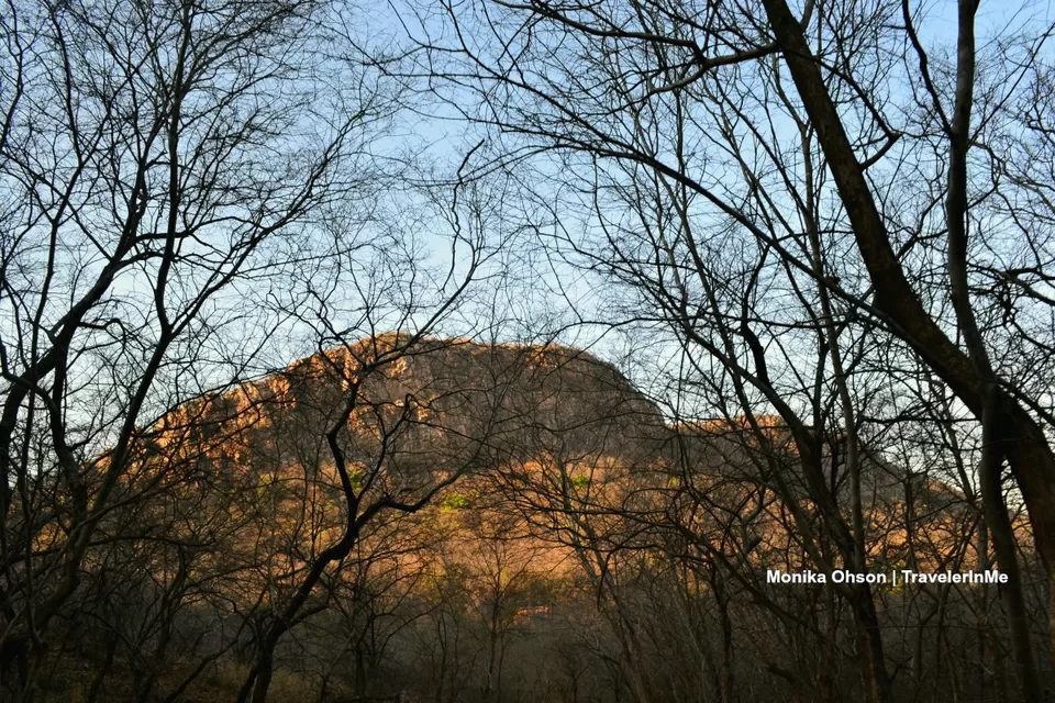 Photo of Looking for the ‘Bengal Tigers’ in Ranthambore National Park by TravelerInMe