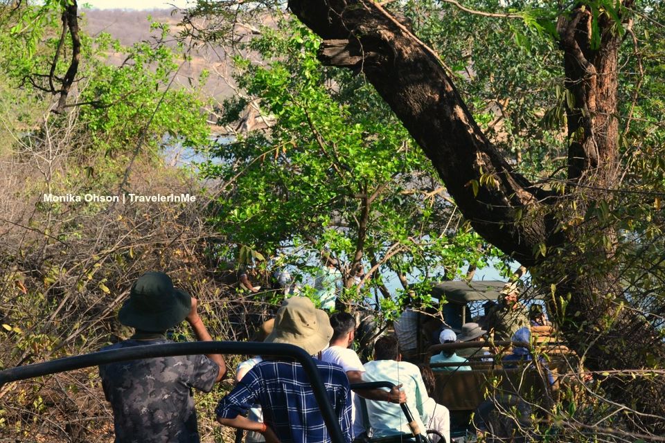 Photo of Looking for the ‘Bengal Tigers’ in Ranthambore National Park by TravelerInMe